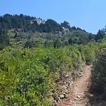 Emerald Blue Paxos Villa *