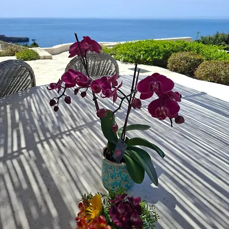 Villa Emerald Blue Paxos