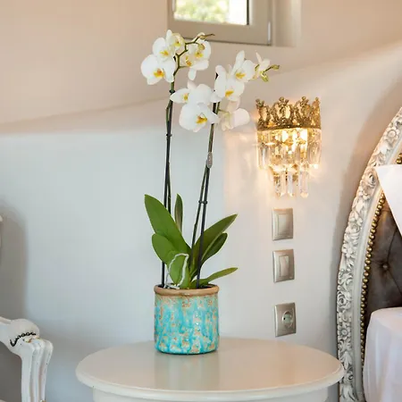 Emerald Blue Paxos Velianitátika